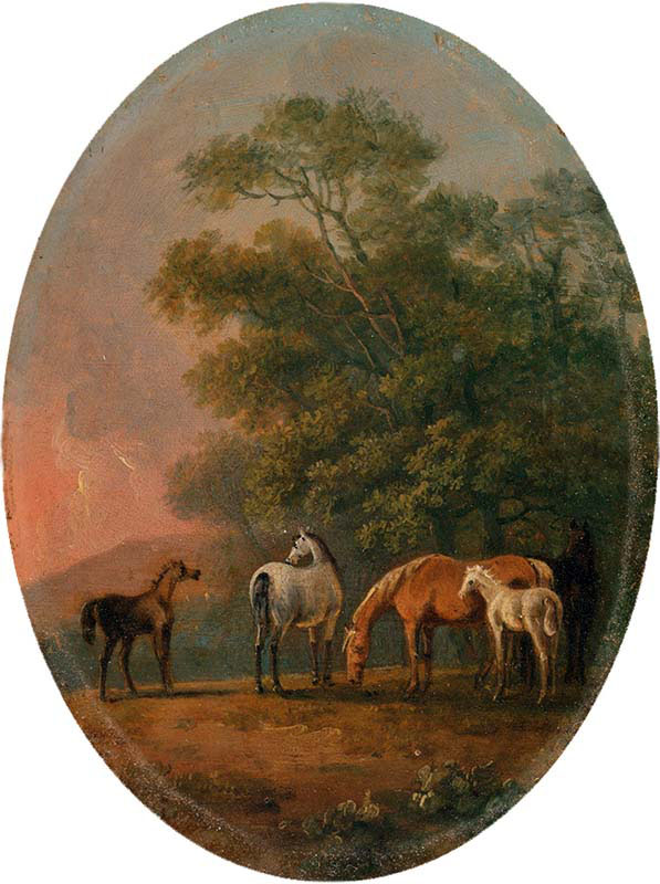 Mares and Foals